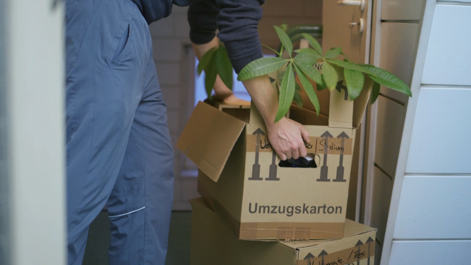Neuer Trailer für "Deutschland zieht aus"!